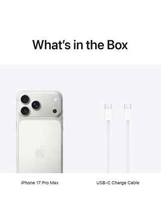 iPhone 17 Pro Max 256GB (Nano SIM + eSIM) Silver 5G With FaceTime - International Version - view 4